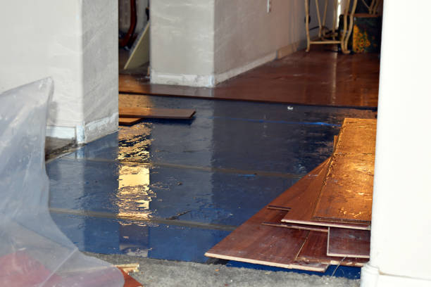 Professional Basement Flood Cleanup technician working in Holtsville, NY
